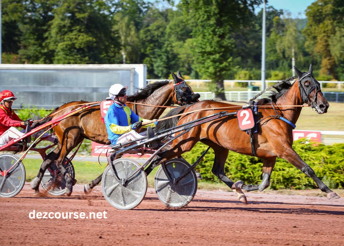 Duo Du Turf