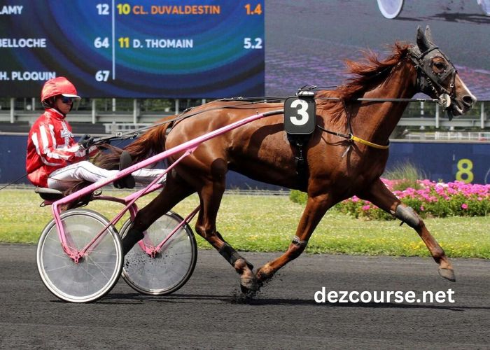 100pour100 Quinteplus (1)