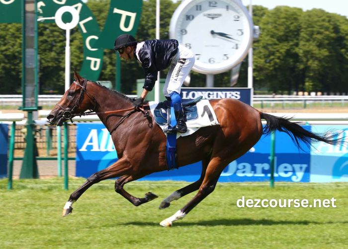 Gain Du Jour en Cfa Aujourd'hui (1)