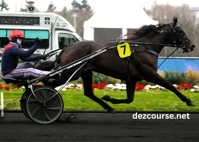Gazette Du Pmu 2 (3)