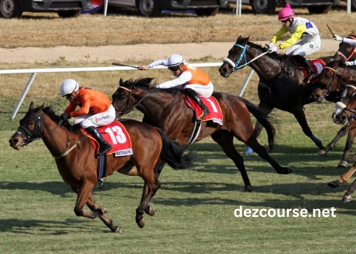 LA Richesse Turf Vip (1)
