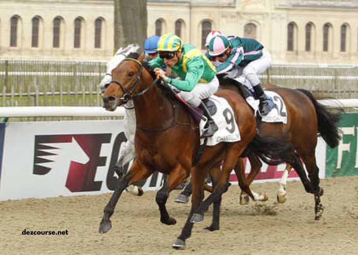 Les Craks Du Turf