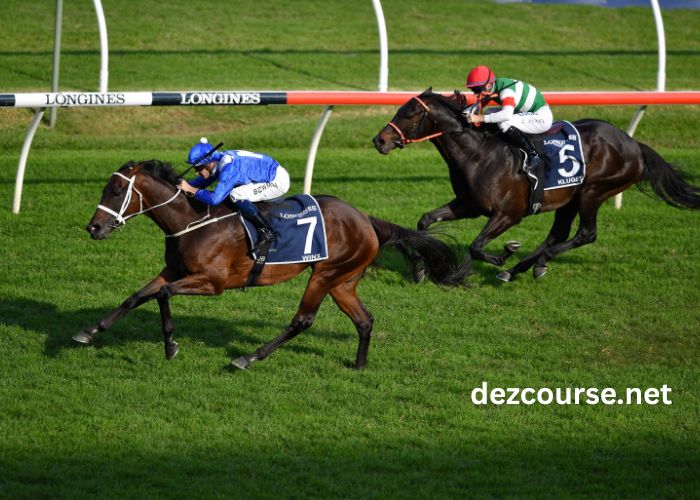 Turf Derniere Minute (1)