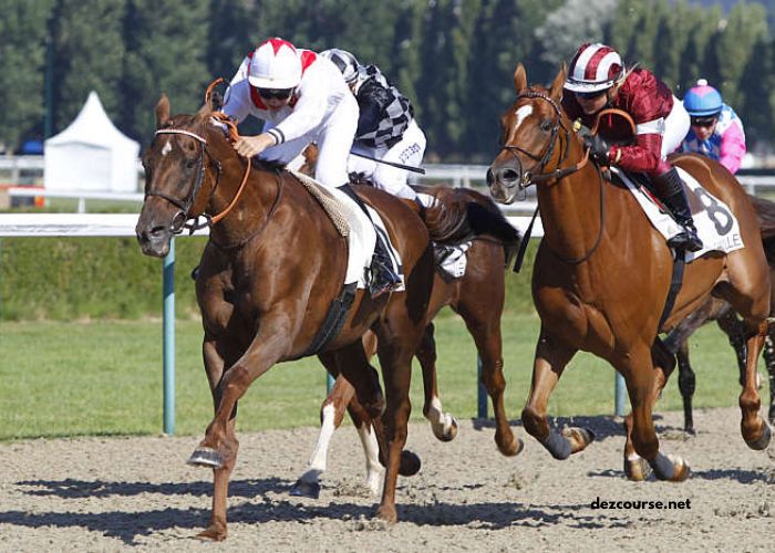 Formule Sur Turf