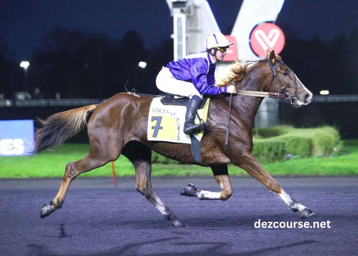 Prono Choc Turf